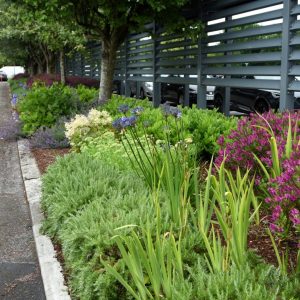 Boston Scientific Boston Scientific