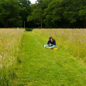Biodiversity Field Biodiversity Field