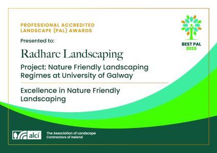 University of Galway ALCI Awards Certificate University of Galway ALCI Awards Certificate