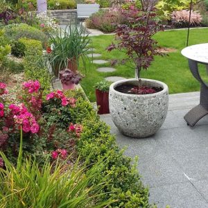 city garden galway 1 year