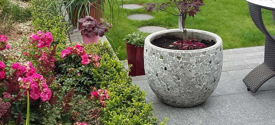 city-garden-galway-1-year-on